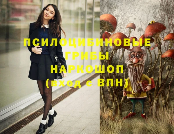 МДПВ Киреевск