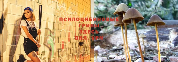 apvp Киренск