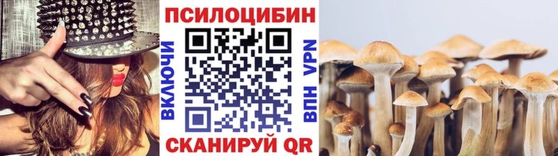 Купить где  Урень  Псилоцибиновые грибы Cubensis 